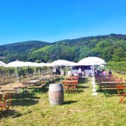 Nostalgieheuriger  & Weingut Anton Luegmayer